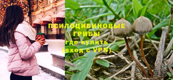 гашик Абинск