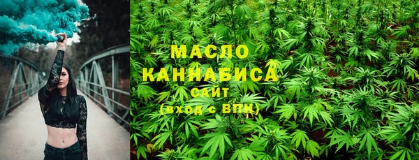 эйфоретик Няндома